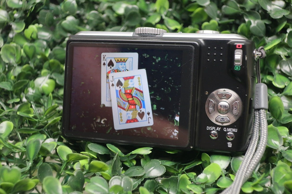 Bundle Panasonic Lumix DMC-ZS5 10MP Digital Camera W/ Battery+Charger